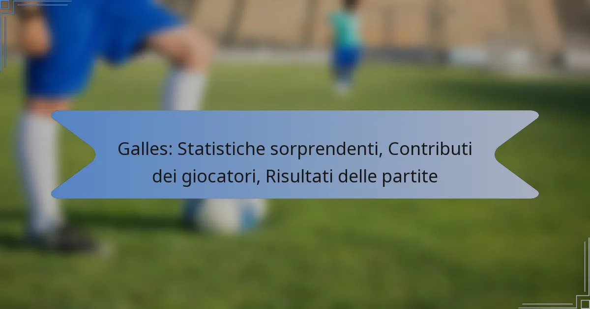 Galles: Statistiche sorprendenti, Contributi dei giocatori, Risultati delle partite