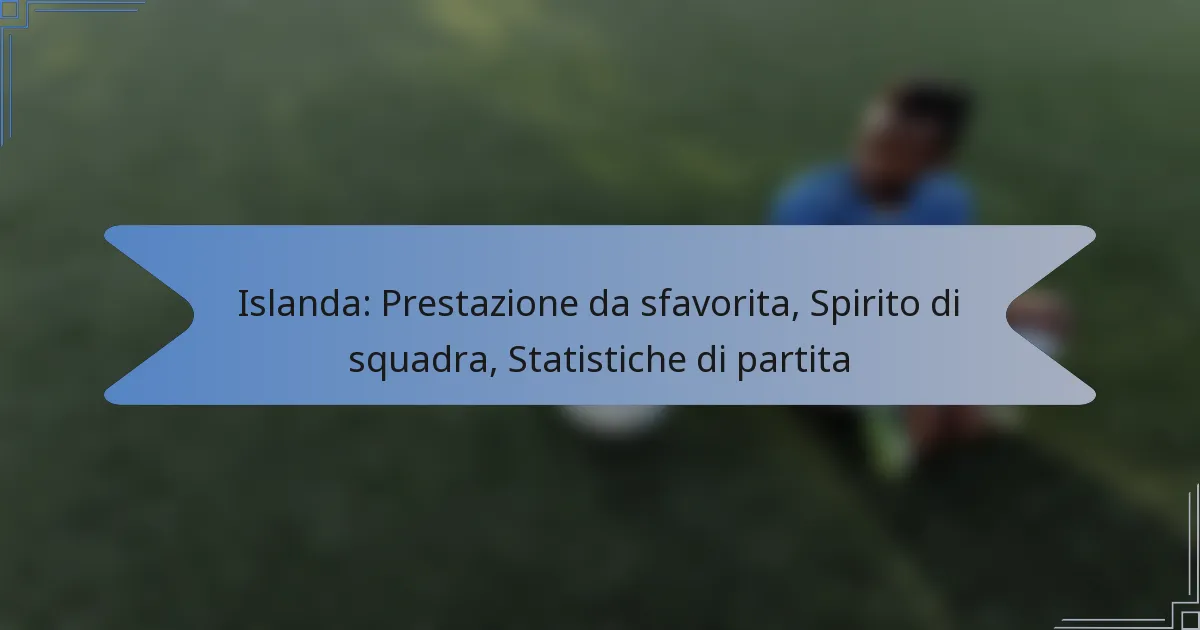 Islanda: Prestazione da sfavorita, Spirito di squadra, Statistiche di partita