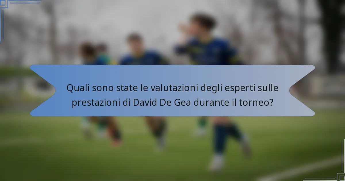 Quali sono state le valutazioni degli esperti sulle prestazioni di David De Gea durante il torneo?